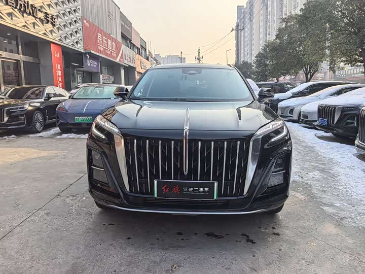 Фото 2 - Hongqi HS3 Hybrid