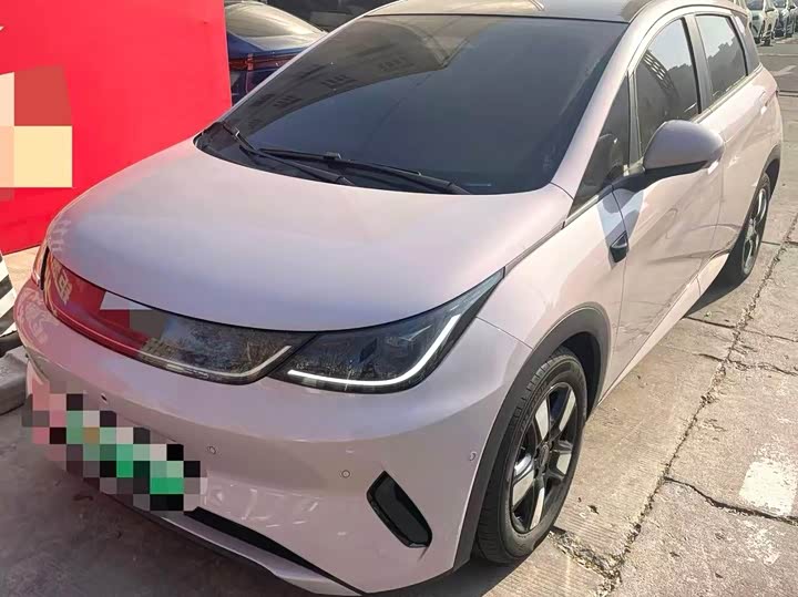 Фото 1 - BYD Dolphin