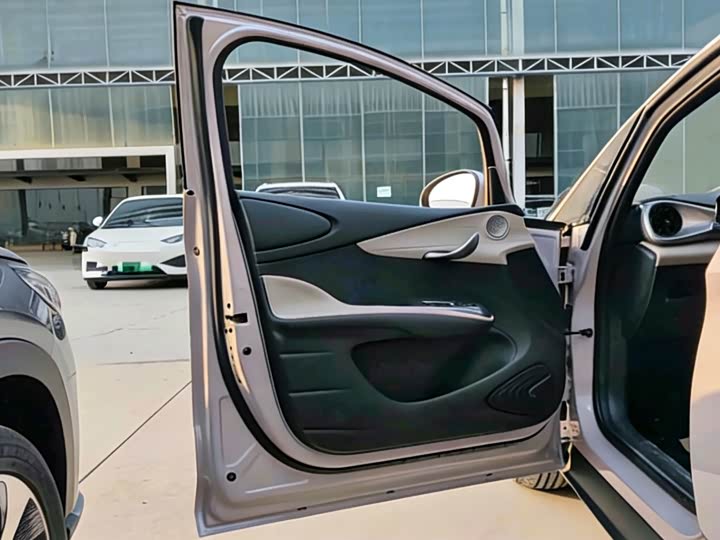 Фото 4 - BYD Dolphin