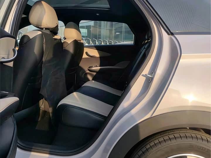 Фото 6 - BYD Dolphin