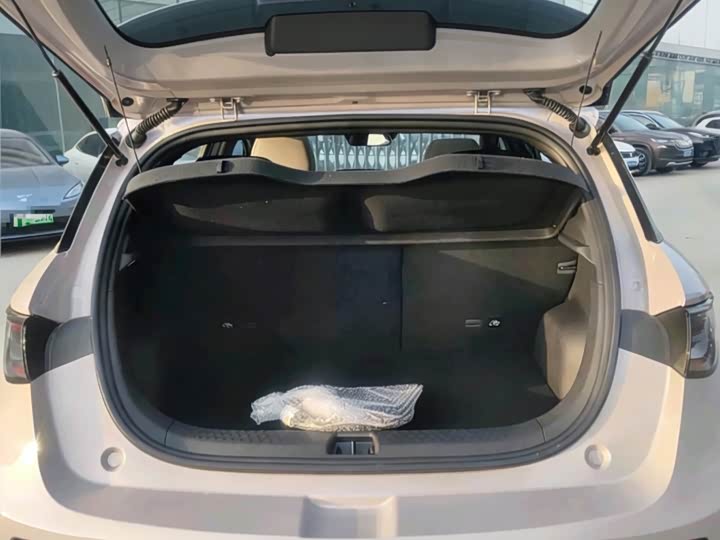 Фото 7 - BYD Dolphin