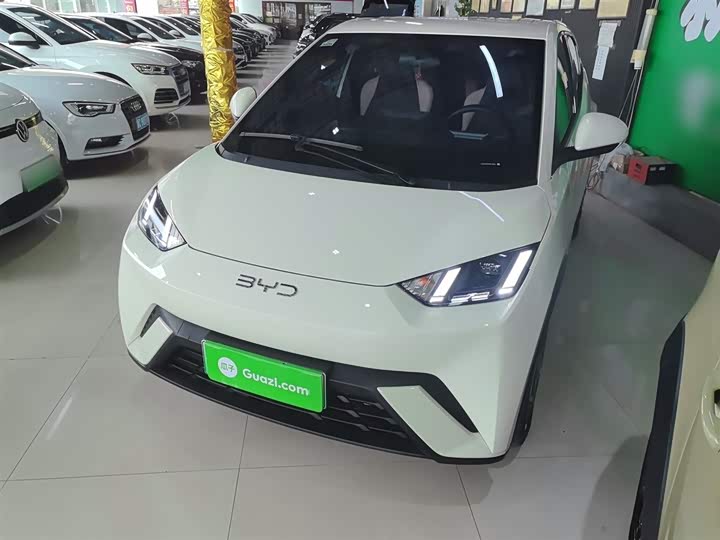 Фото 1 - BYD Seagull