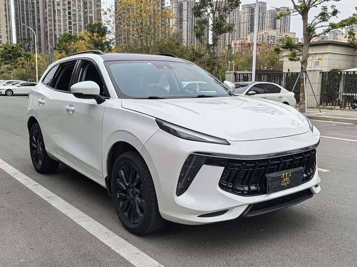 Фото 3 - Dongfeng Forthing T5 EVO