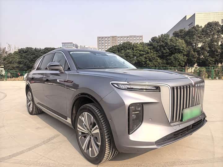 Фото 3 - Hongqi E-HS9