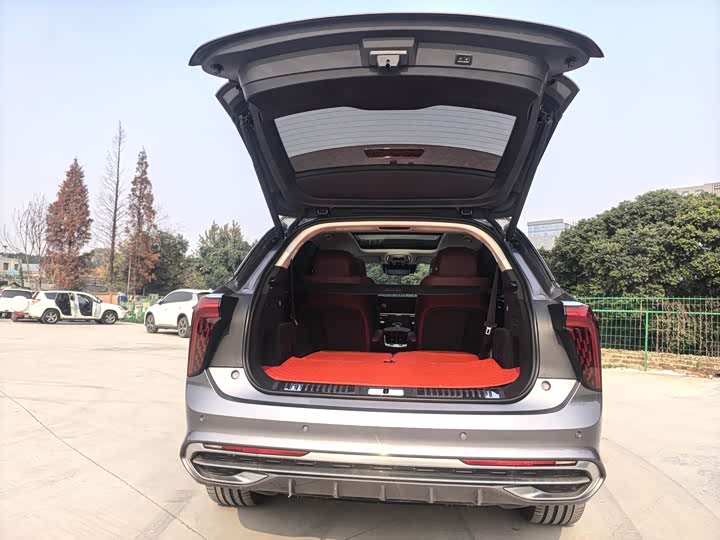 Фото 7 - Hongqi E-HS9