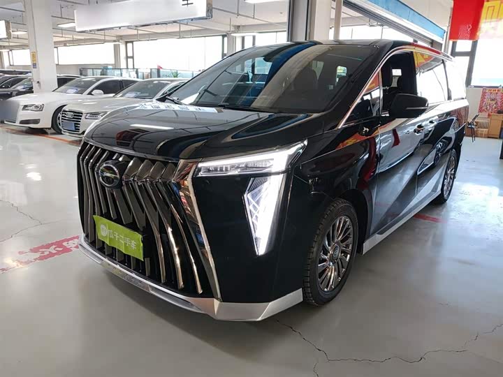 Фото 1 - GAC Trumpchi M8