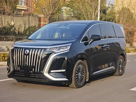 Фото 1 - Denza D9