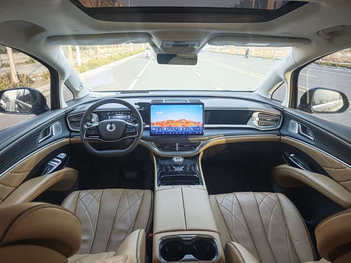 Фото 6 - Denza D9