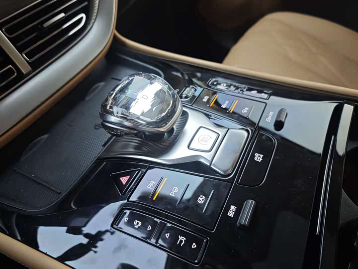 Фото 9 - Denza D9