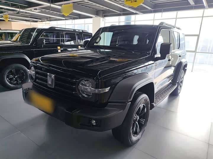 Фото 2 - Tank 300