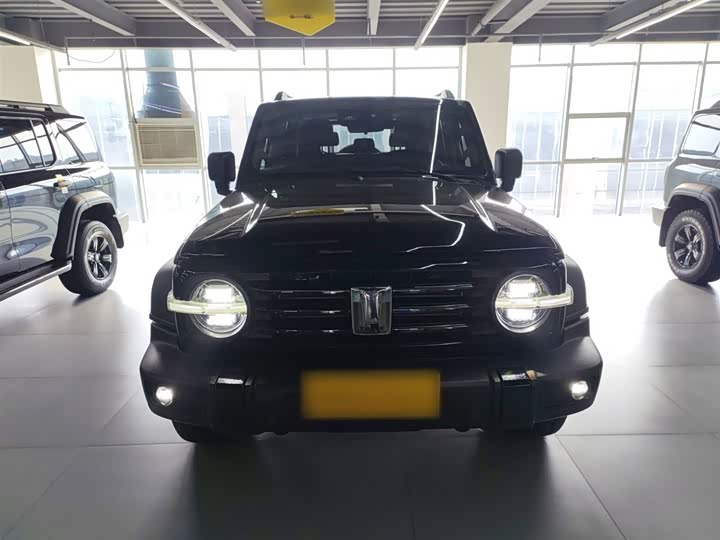 Фото 3 - Tank 300