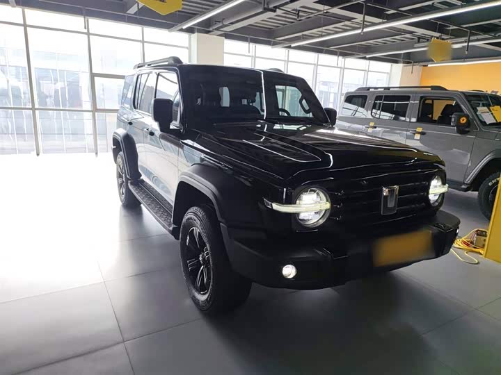 Фото 4 - Tank 300