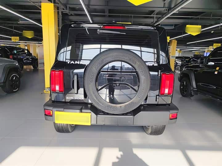 Фото 6 - Tank 300