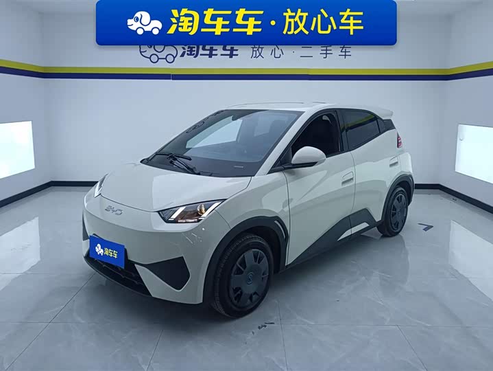 Фото 1 - BYD Seagull