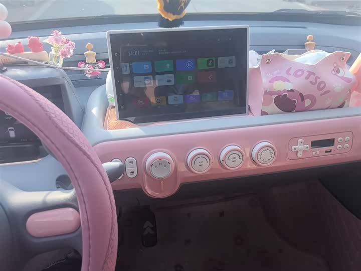 Фото 6 - Bestune Pony