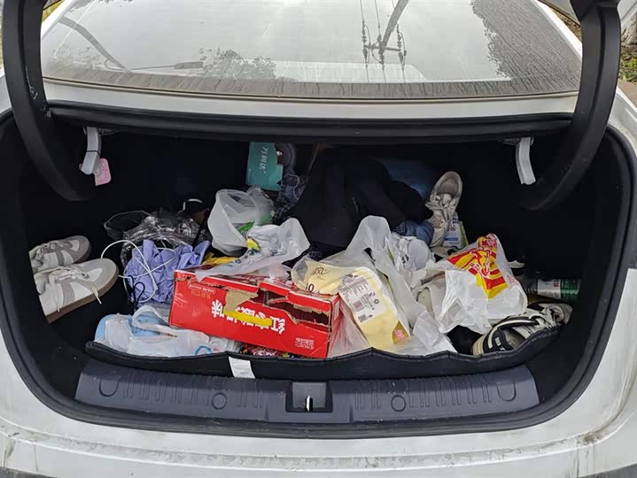 Фото 4 - BYD Qin L