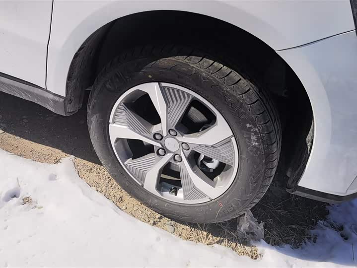 Фото 6 - Geely Okavango Pro