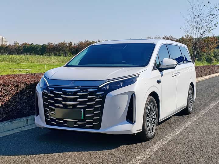 Фото 1 - BYD Xia