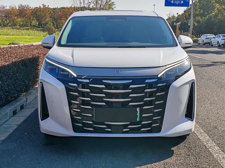 Фото 2 - BYD Xia