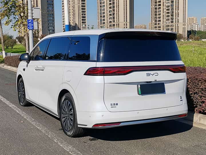 Фото 3 - BYD Xia