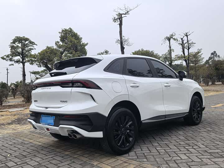 Фото 4 - Dongfeng Forthing T5 EVO
