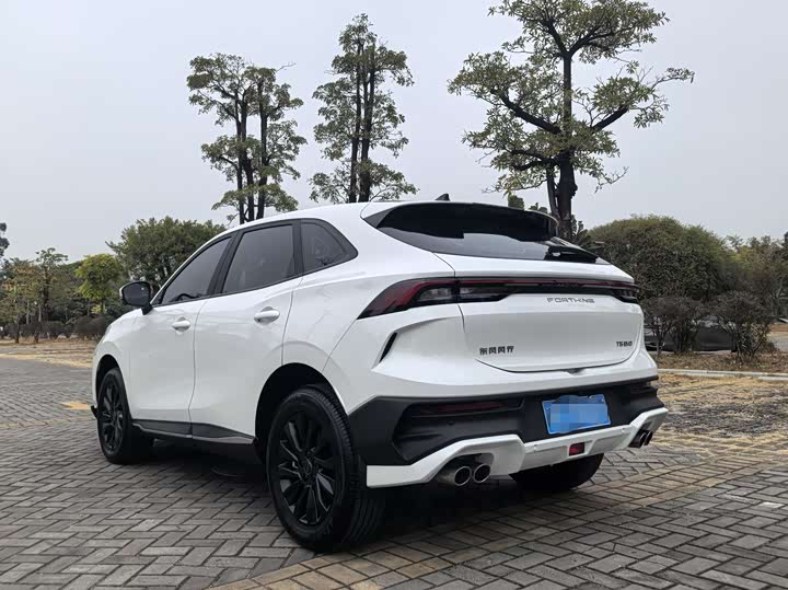 Фото 5 - Dongfeng Forthing T5 EVO