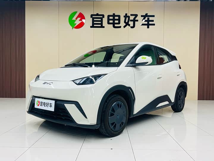 Фото 1 - BYD Seagull