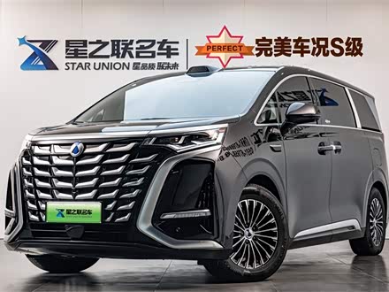 Фото 1 - Denza D9