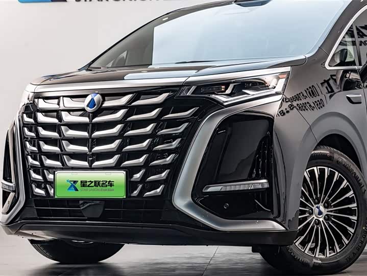 Фото 2 - Denza D9