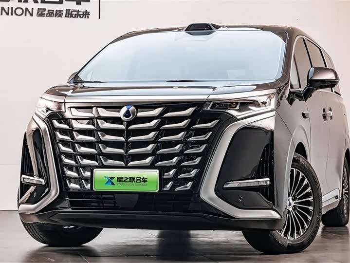 Фото 3 - Denza D9