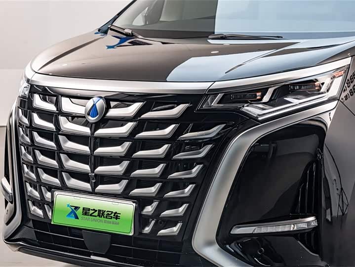 Фото 4 - Denza D9