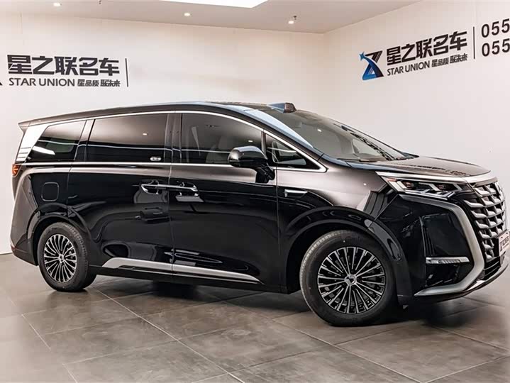 Фото 6 - Denza D9