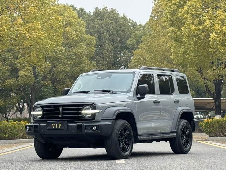 Фото 1 - Tank 300