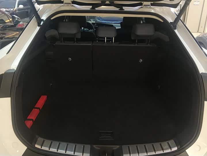 Фото 4 - Lexus RZ