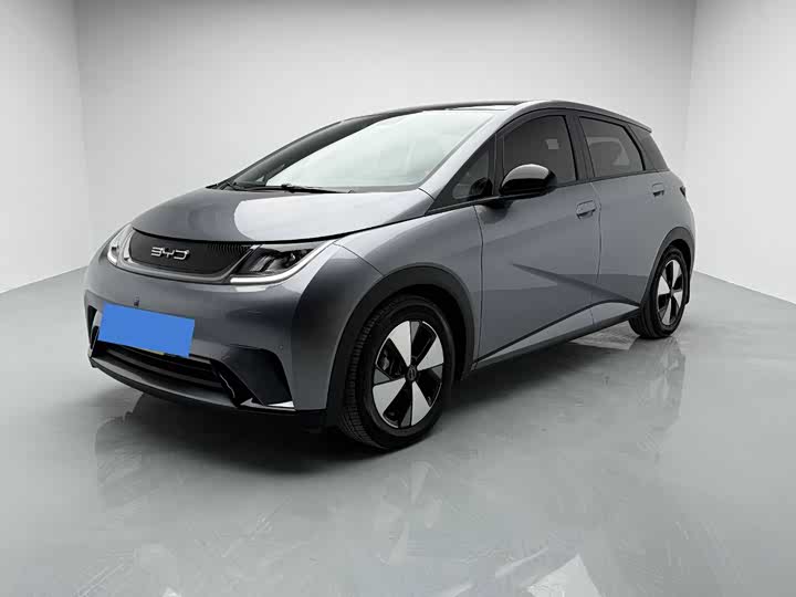 Фото 1 - BYD Dolphin