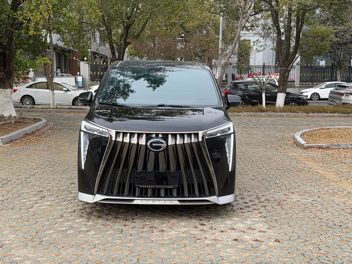 Фото 2 - GAC Trumpchi M8