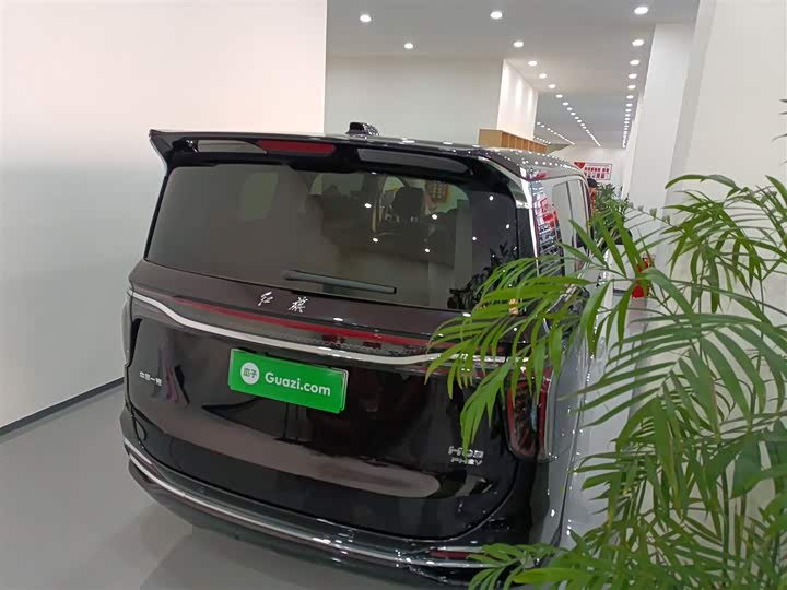 Фото 7 - Hongqi HQ9 Hybrid