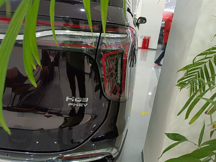 Фото 8 - Hongqi HQ9 Hybrid