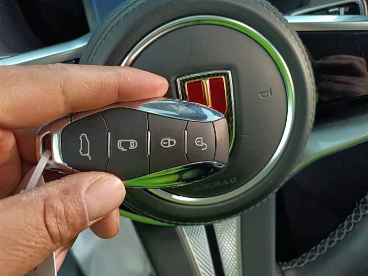 Фото 9 - Hongqi HQ9 Hybrid