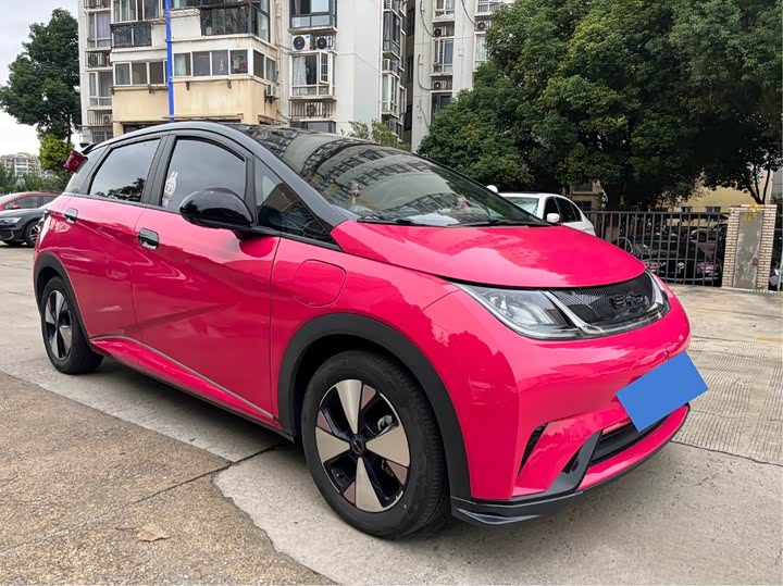 Фото 1 - BYD Dolphin