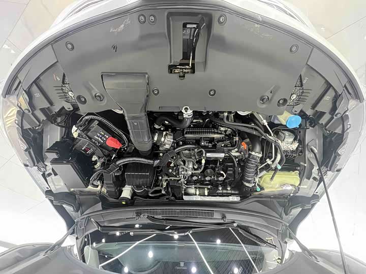 Фото 7 - Honda Envix