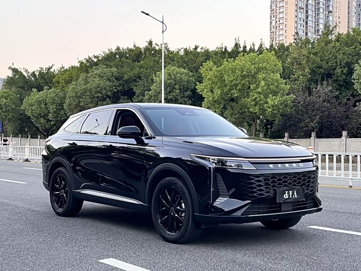 Фото 3 - Exeed RX