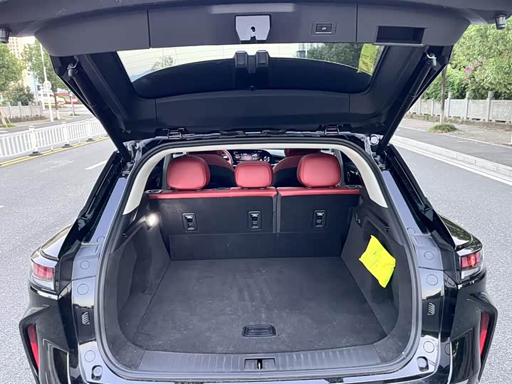 Фото 5 - Exeed RX