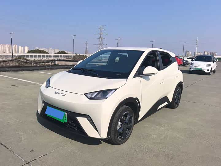 Фото 1 - BYD Seagull