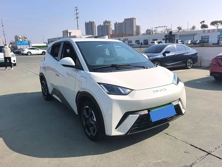 Фото 3 - BYD Seagull