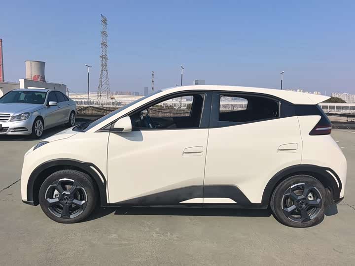 Фото 4 - BYD Seagull