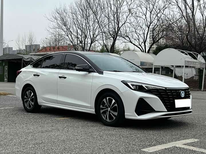 Фото 3 - Changan Eado Plus