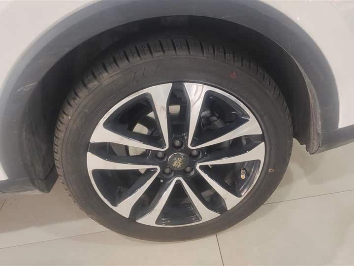 Фото 6 - Roewe RX3