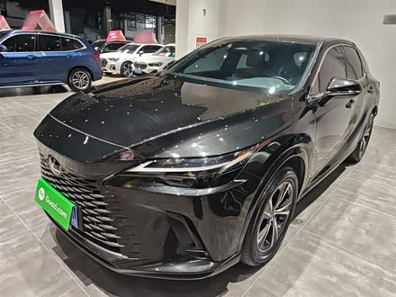 Фото 1 - Lexus RX