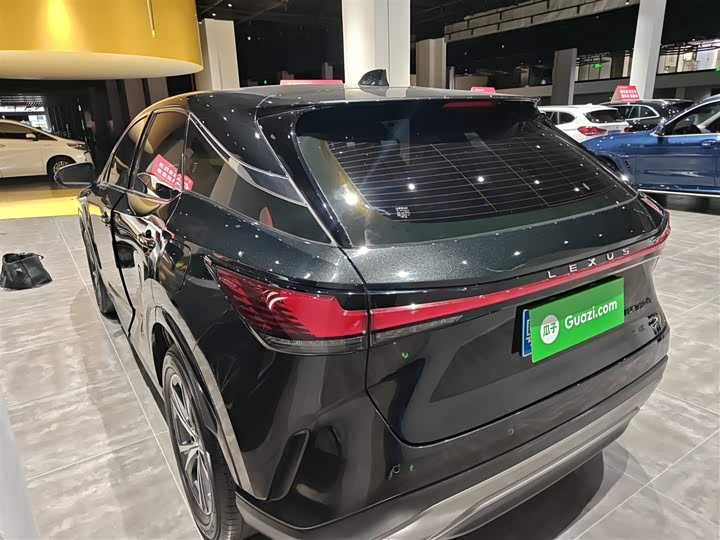 Фото 5 - Lexus RX